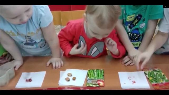 Анонс проектов ОГОРОД НА ОКНЕ 1