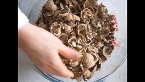 Вес ядра грецких орехов в килограмме / walnut kernel weight in kilogram