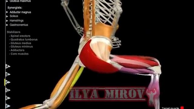 Выпады назад смотреть онлайн