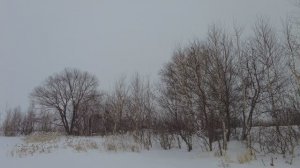 Прогулка до необитаемого острова на озере Большие Касли