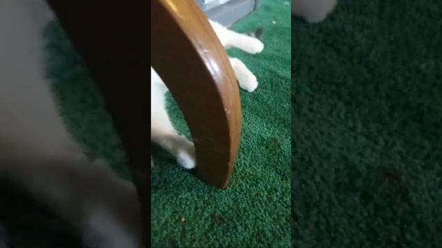 Mini System test 13 смотреть онлайн