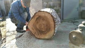 Возможности сучкореза Патриот 25 12