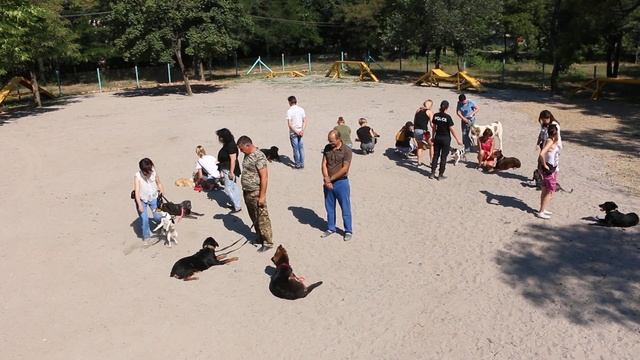 Открытие площадки для выгула собак в Дюковском парке смотреть онлайн