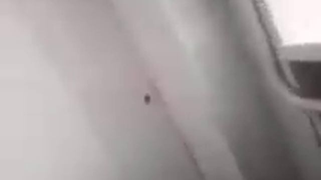 Веселая девочка в общественном туалете смотреть онлайн