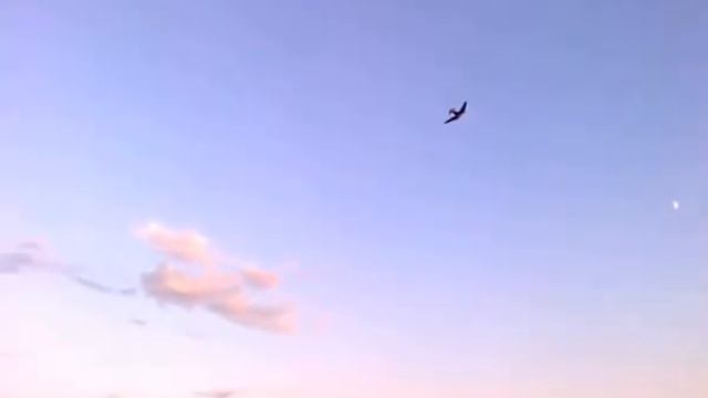 "Свой"-прект. Первые полёты. смотреть онлайн