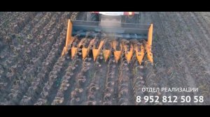 Рядковая жатка для уборки подсолнечника в работе - отзыв фермера