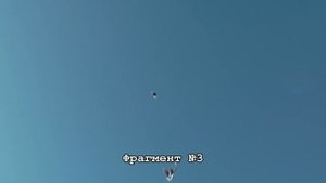 Стили полётов (голуби разных голубеводов)