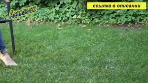 как сделать газон на даче