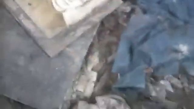 Осмотр сгоревшего дома смотреть онлайн