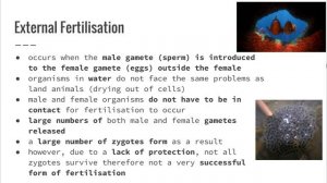 Evolution of Australian Biota - 8.5.3.ii), b) & iii) - Internal & External Fertilisation