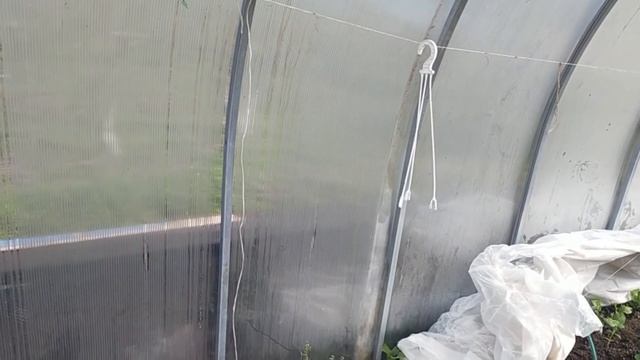 #367БЛАГОУСТРОЙСТВО ПРИДОМОВОЙ И ОГОРОДНОЙ ТЕРРИТОРИИ
