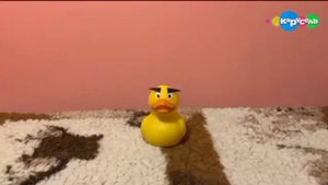 Вырезанный фрагмент из "kotiynet" на канале Карусель (01.09.2018)