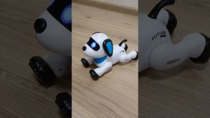 Робот-собака на радиоуправлении мини акробат русская озвучка, арт.ZYA-A2906