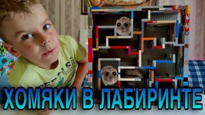 ХОМЯКИ В ЛАБИРИНТЕ ИЗ ЛЕГО