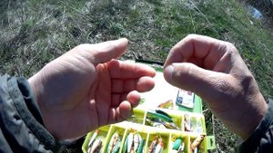 Ловля щуки на ПОППЕР! Поверхностные приманки заработали!!!