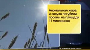 В России вступает в силу запрет на экспорт зерна