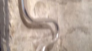 Замена труб в ванной,  монтаж полотенце сушителя.