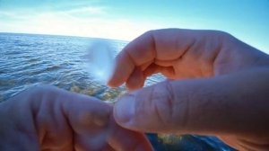 Астрахань. День 3. Ловля щуки в Каспийском море. Рыбалка на раскатах