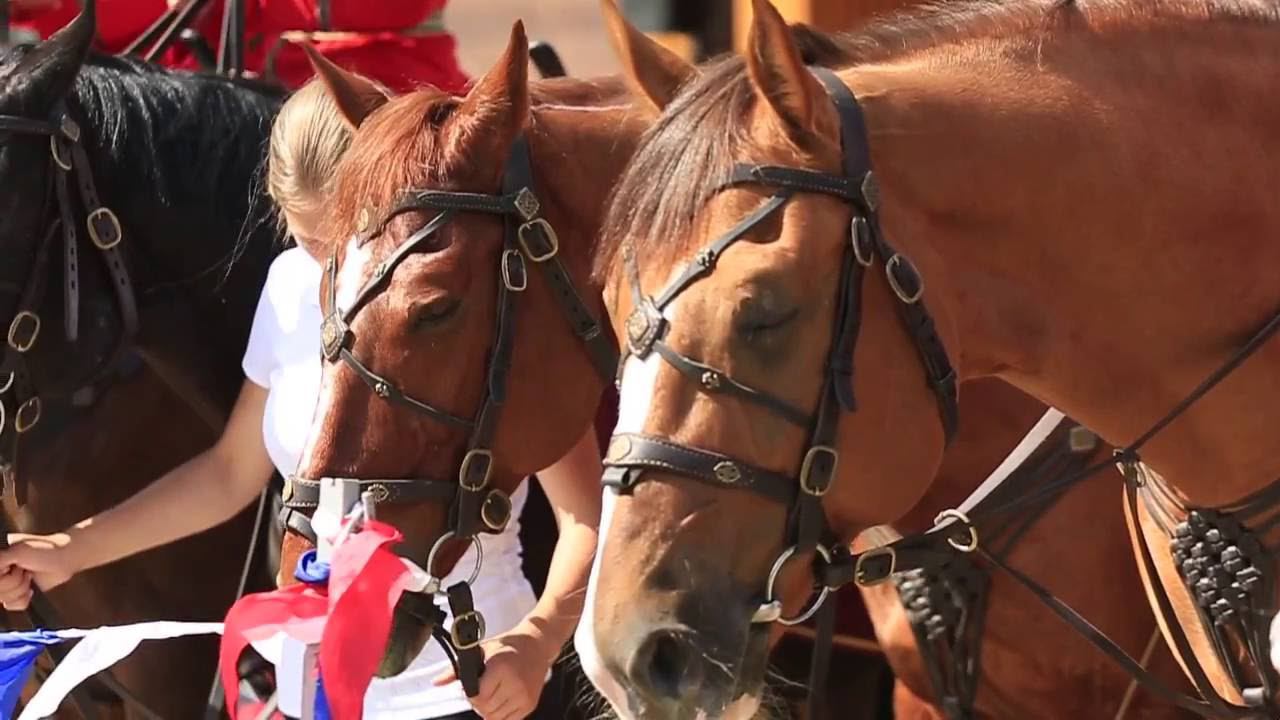 Александр Романов - диктор телевидения, конферансье, голос ведущих телеканалов страны