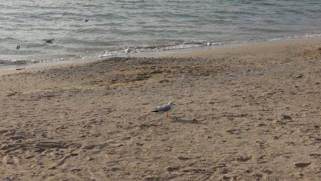 Лецзы Гл 7 Ян Чжу и Гл 8 О предвидении смотреть онлайн