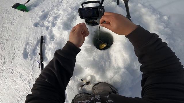Perch Fishing | Ice Fishing for Perch with the Underwater Camera! смотреть онлайн