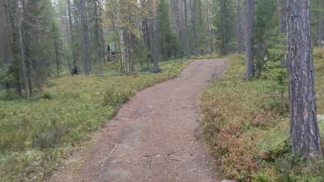 В национальном парке Паанаярви