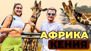 Знаменитый жираф центр, приют слонят с изюминкой и НОСОРОГИ в национальном парке Найроби