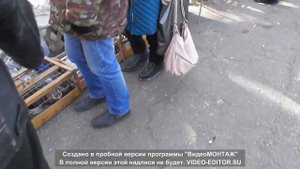 Выставка голубей пос. Новоэкономическое 20.02.2021