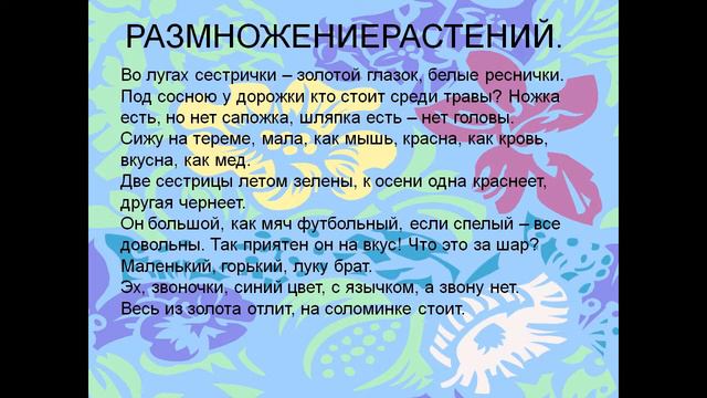 Цветки и плоды смотреть онлайн
