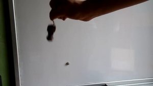 Определение настройки фазоинвертора (ФИ)
