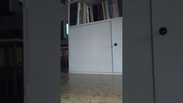 25 июля 2017 г. смотреть онлайн