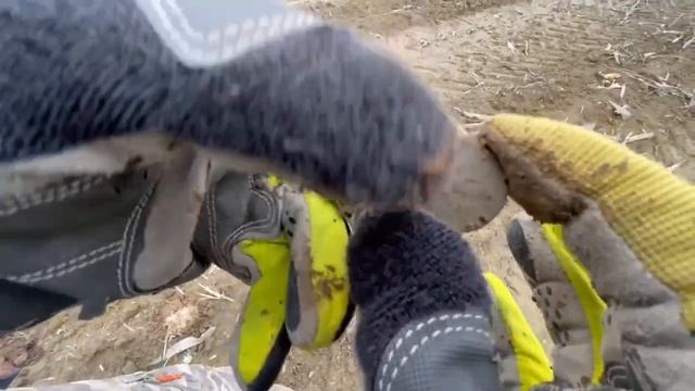 ЧИСЛО КОНКУРЕНТОВ НА ПОЛЕ, НЕ ОСТАВЛЯЛО НАДЕЖДЫ. ТОЛЬКО НЕ ДЛЯ НАС!!! #клады #коп #металлопоиск смотреть онлайн