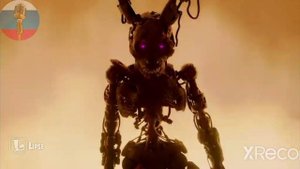 Федор у меня очень сильно горит жопа!!!!