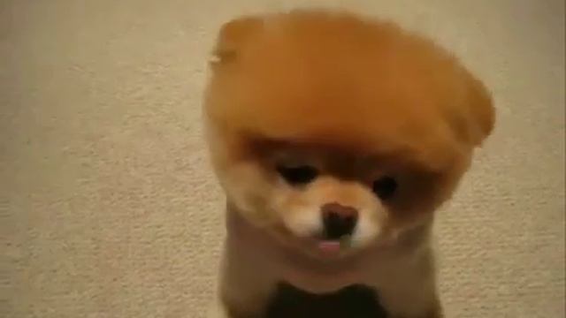 помогите найти полную версию этой песни смотреть онлайн