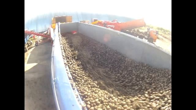 Зеленая Долина. Неделя в режиме non-stop смотреть онлайн