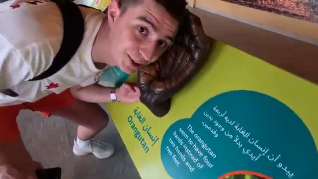 24 Часа в ЗООПАРКЕ Челлендж ! смотреть онлайн