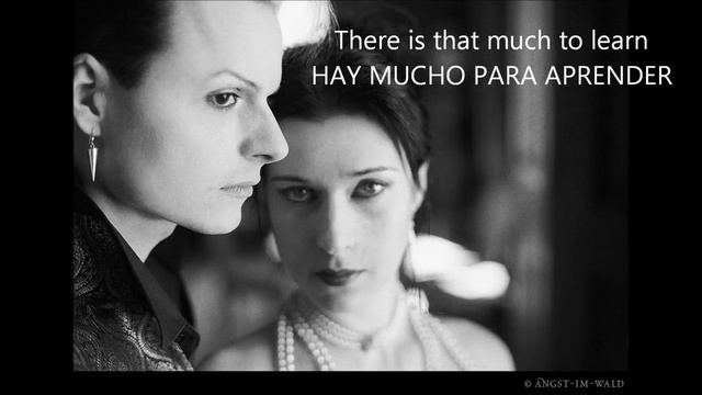 Lacrimosa My last goodbye Subtitulos Ingles Español) смотреть онлайн