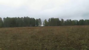 Продажа пая земли