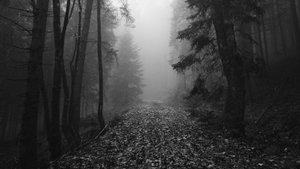 1409 beats - Trail Underground Boom Bap Beat Rap Минус Hip Hop Instrumental #beat #underground