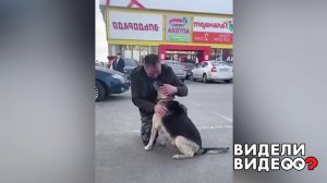 Встреча после долгой разлуки. Видели видео? Фрагмент выпуска от 05.05.2021