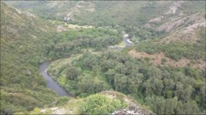 BORCHALI- AYORTA- ТАМАДА ВИДАДИ БОРЧАЛЫ