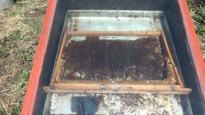 Солнечная воскотопка в деле. Работа воскотопки при температуре воздуха + 23-25