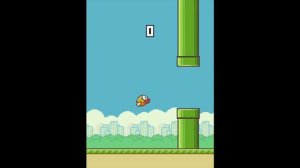 FLAPPY BIRD FAIL + 25 question tag