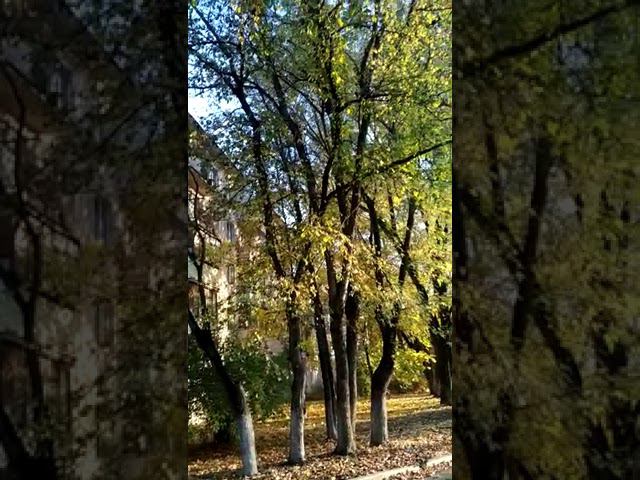 13 октября 2022 г. смотреть онлайн