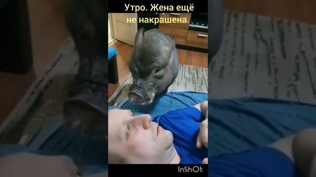 Смех для всех #ржунемогу