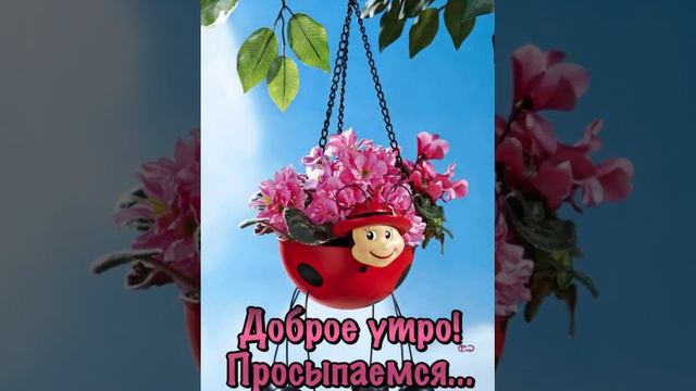 ДОБРОЕ УТРО! открытка для позитива... смотреть онлайн