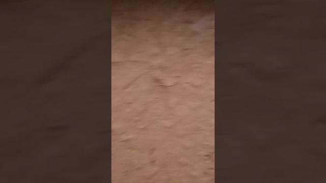 Сарай для коз утепление