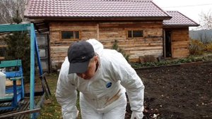 Добыча золота / Кроличий навоз / Самое лучшее удобрение.