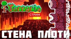 TERRARIA: СТЕНА ПЛОТИ