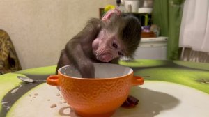 Люся ГРУСТИТ, нам всем не просто, едем в СИЗО!